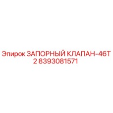 8393081571 ЗАПОРНЫЙ КЛАПАН-46T2 Epiroc