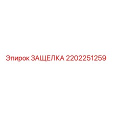 2202251259 ЗАЩЕЛКА Epiroc