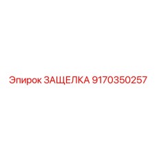9170350257 ЗАЩЕЛКА Epiroc