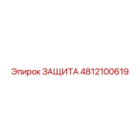4812100619 ЗАЩИТА Epiroc
