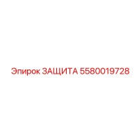 5580019728 ЗАЩИТА Epiroc