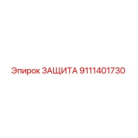 9111401730 ЗАЩИТА Epiroc