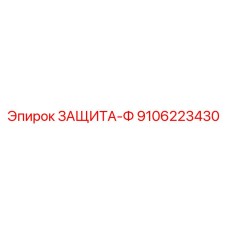 9106223430 ЗАЩИТА-Ф Epiroc