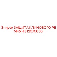 4812070650 ЗАЩИТА КЛИНОВОГО РЕМНЯ Epiroc