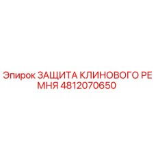 4812070650 ЗАЩИТА КЛИНОВОГО РЕМНЯ Epiroc