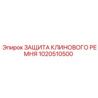 1020510500 ЗАЩИТА КЛИНОВОГО РЕМНЯ Epiroc