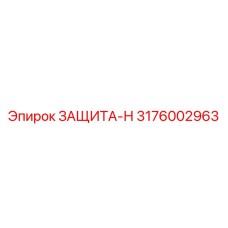 3176002963 ЗАЩИТА-Н Epiroc