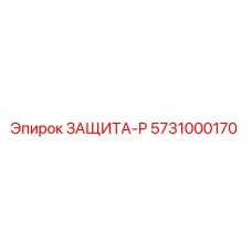 5731000170 ЗАЩИТА-Р Epiroc