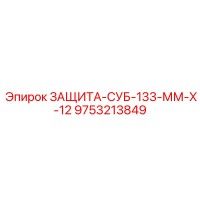 9753213849 ЗАЩИТА-СУБ-133-ММ-Х-12 Epiroc