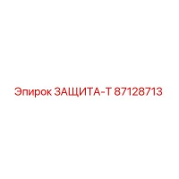 87128713 ЗАЩИТА-Т Epiroc