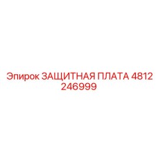 4812246999 ЗАЩИТНАЯ ПЛАТА Epiroc
