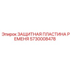Защитная пластина ремня арт.5730008478 для FlexiROC