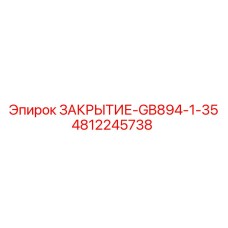 4812245738 ЗАКРЫТИЕ-GB894-1-35 Epiroc