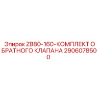 2906078500 ZB80-160-КОМПЛЕКТ ОБРАТНОГО КЛАПАНА Epiroc