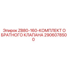 2906078500 ZB80-160-КОМПЛЕКТ ОБРАТНОГО КЛАПАНА Epiroc