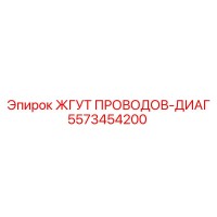 5573454200 ЖГУТ ПРОВОДОВ-ДИАГ Epiroc