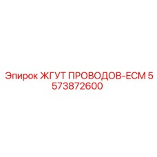 5573872600 ЖГУТ ПРОВОДОВ-ECM Epiroc