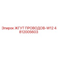 4812005603 ЖГУТ ПРОВОДОВ-W12 Epiroc