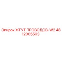 4812005593 ЖГУТ ПРОВОДОВ-W2 Epiroc
