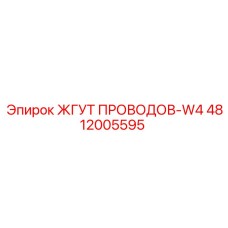 4812005595 ЖГУТ ПРОВОДОВ-W4 Epiroc