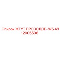 4812005596 ЖГУТ ПРОВОДОВ-W5 Epiroc