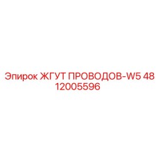 4812005596 ЖГУТ ПРОВОДОВ-W5 Epiroc