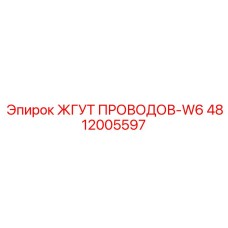 4812005597 ЖГУТ ПРОВОДОВ-W6 Epiroc