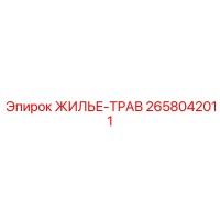 2658042011 ЖИЛЬЕ-ТРАВ Epiroc