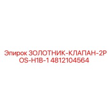 4812104564 ЗОЛОТНИК-КЛАПАН-2POS-H1B-1 Epiroc