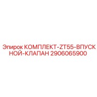 2906065900 КОМПЛЕКТ-ZT55-ВПУСКНОЙ-КЛАПАН Epiroc