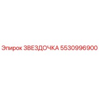 5530996900 ЗВЕЗДОЧКА Epiroc