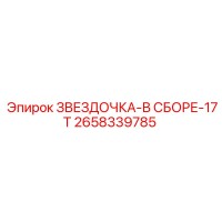 2658339785 ЗВЕЗДОЧКА-В СБОРЕ-17T Epiroc